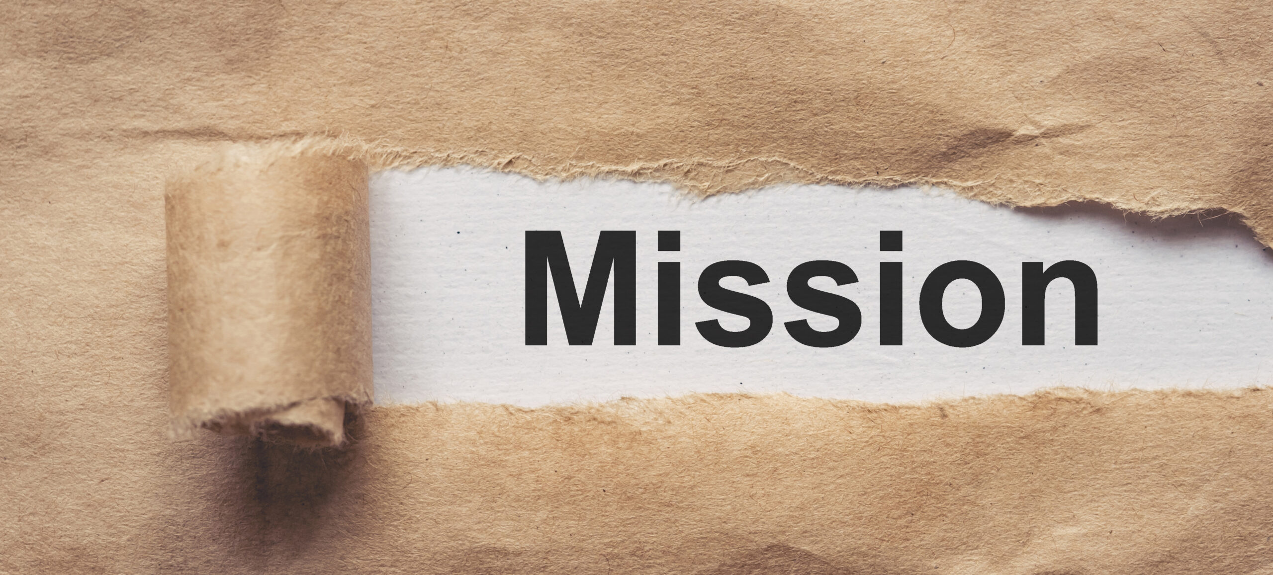Mission Statement…I Don’t Need A Stinking Mission Statement