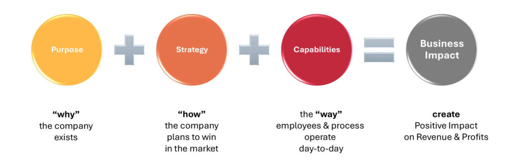 Business Impact Equation: Purpose + Strategy + Capabilities.
Purpose is "why" the company exists
Strategy is "how" the company plans to win in the market
Capabilities are they "way" employees and processed operate day-to-day
Business Impact creates a positive impact on revenue and profits.